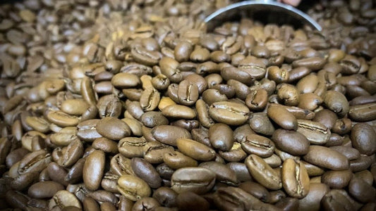 Savor a Taste of Bukidnon: Featuring Kape Napalit Beans